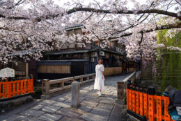 Japan_Sakura_2025 (50/79)